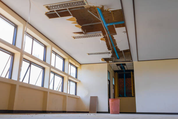 Best Carpet water damage restoration  in Redstone Arsen, AL