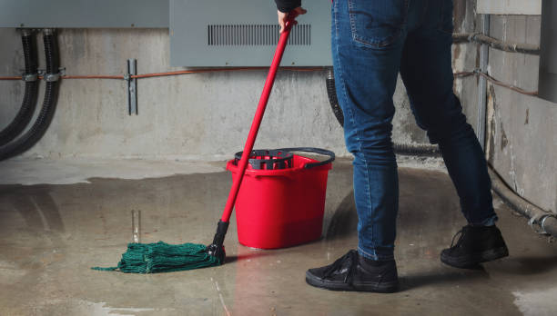 Best Local water damage restoration  in Redstone Arsen, AL