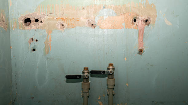 Best Water damage restoration near me  in Redstone Arsen, AL