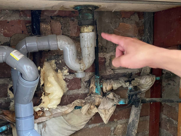 Best Water damage cleanup near me  in Redstone Arsen, AL