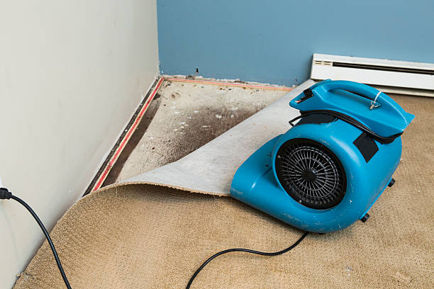 Best Mold removal after water damage  in Redstone Arsen, AL